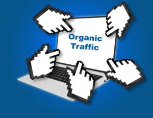 Bisnis Online Pakai Website