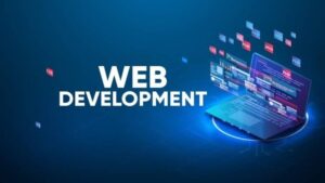 software custom