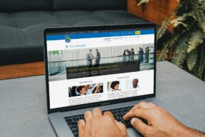 bisnis online pakai website