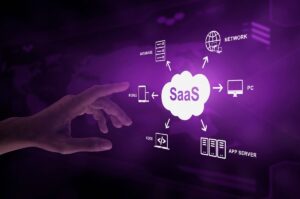software custom vs SaaS untuk bisnis