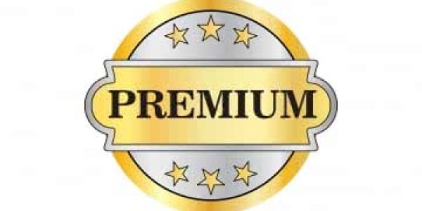 Jasa Pembuatan Website di Denpasar – Ultimate Premium Features untuk Website Bisnis oleh Sinar Teknologi Indonesia